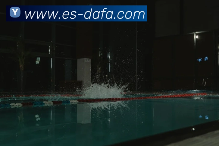 大发彩票服务体系